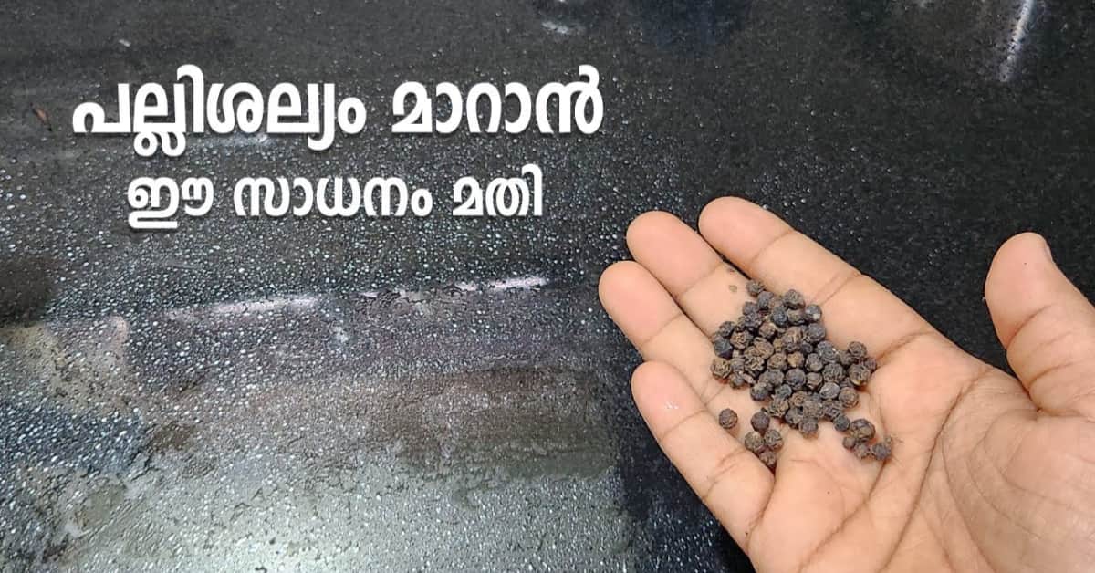Easy Get Rid of Lizards Using Pepper
