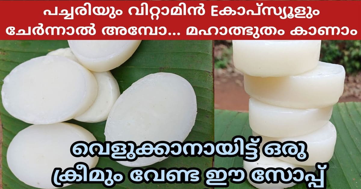Raw Rice Soap Recipe