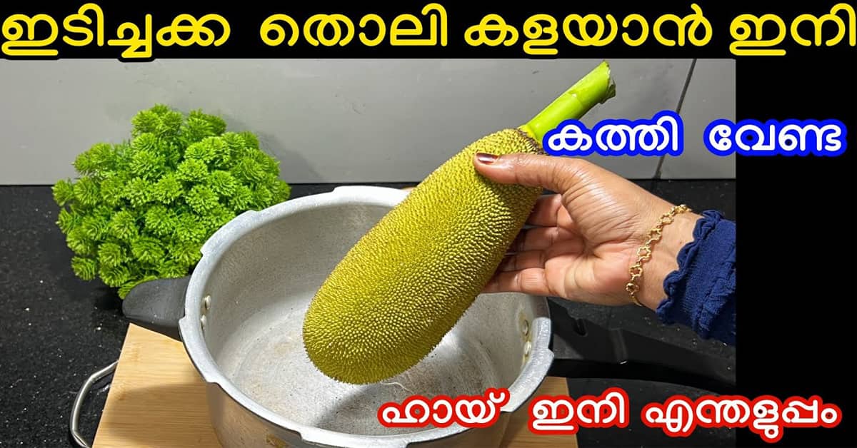 Easy Idichakka Cleaning Tips