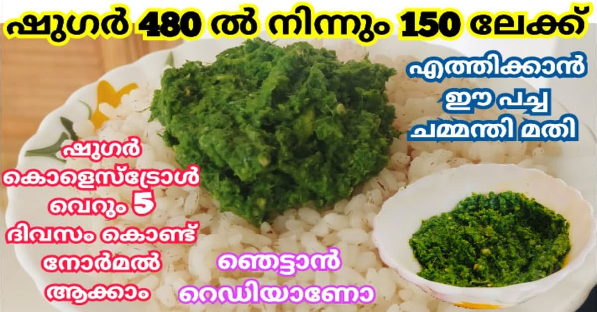 Healthy Chutney for Diabetics