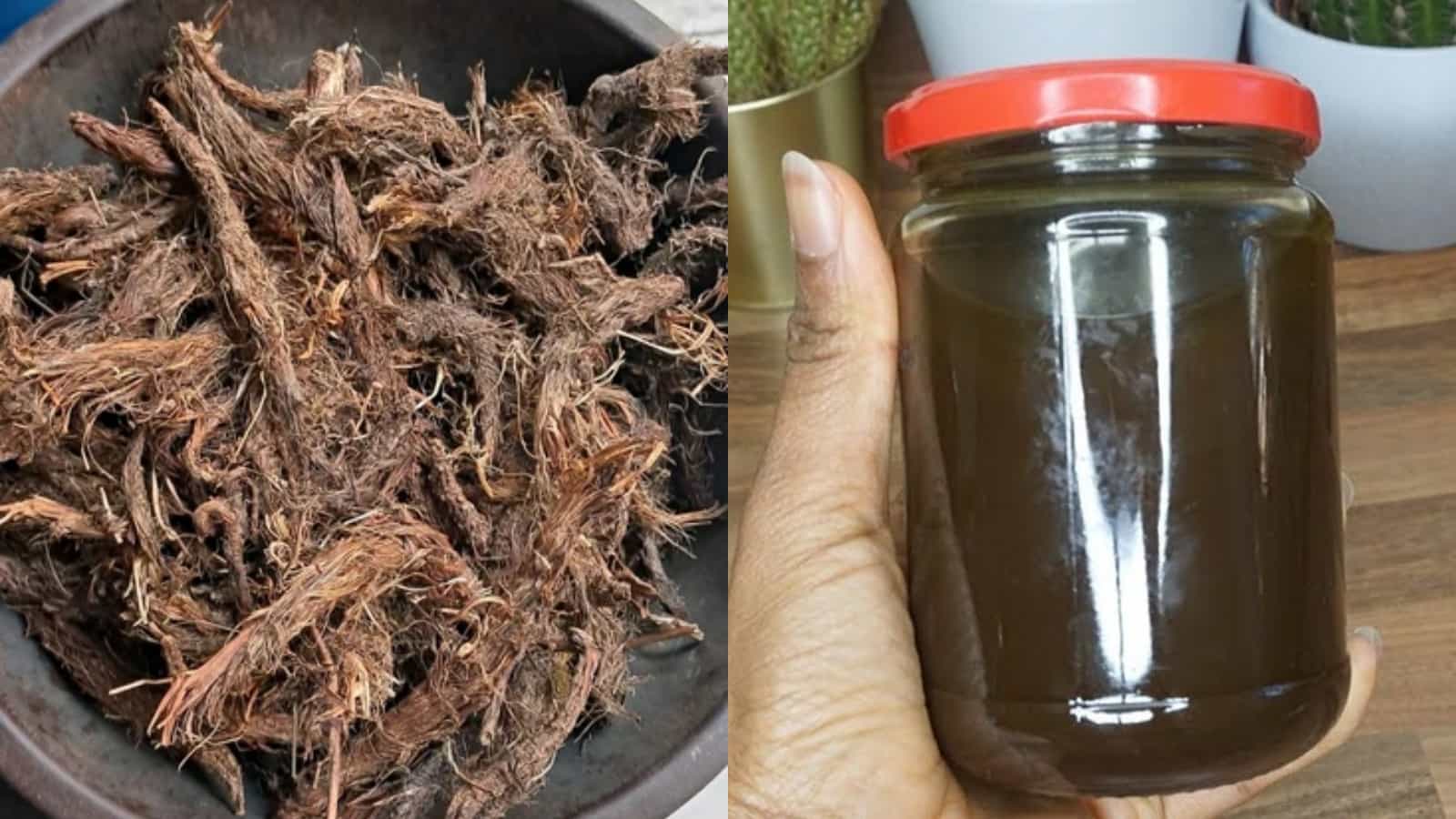 Jatamansi Hair Oil