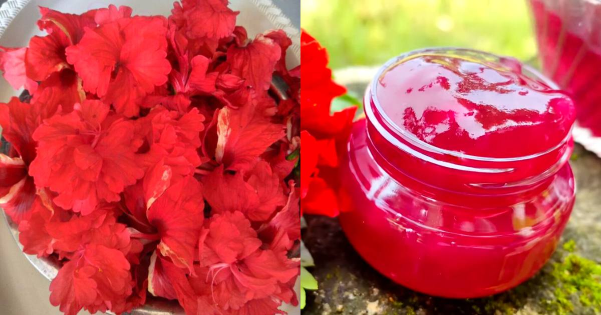 Hair Growth Gel Using Hibiscus