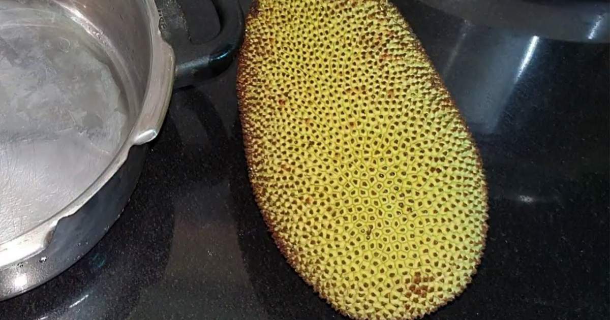 Jackfruit Peel Cleaning Tips