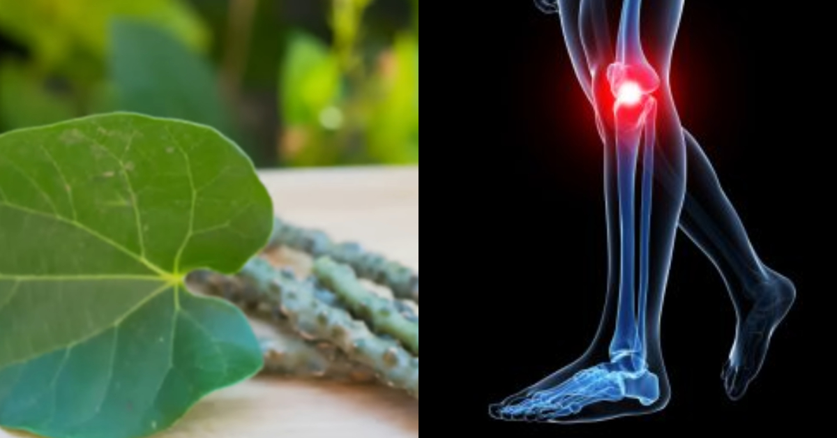 Try This Low-Cost Body Pain Remedy