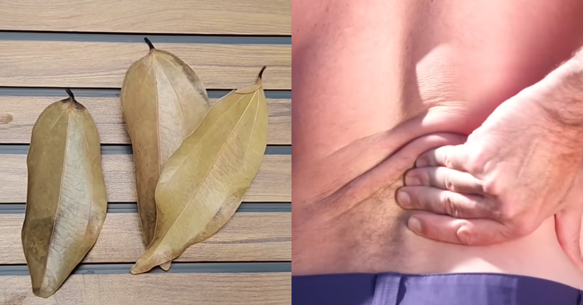 All blocked veins will open up
