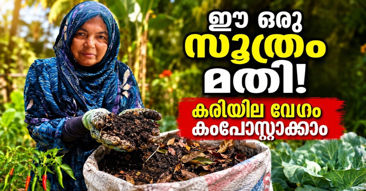 Leaf Compost Making