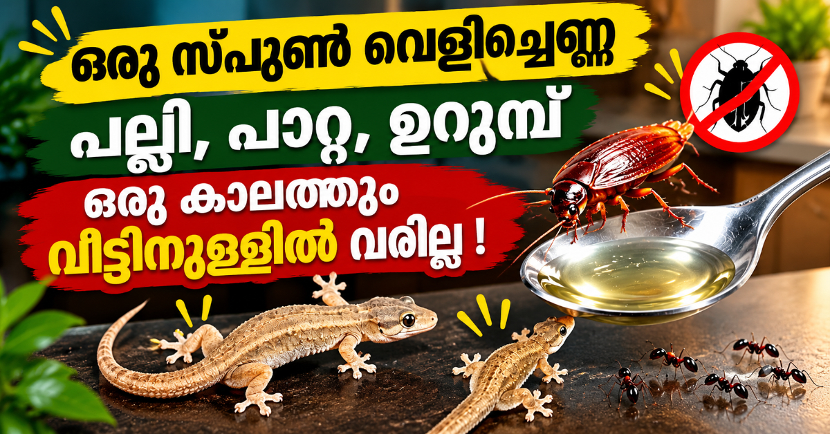 Natural Pest Repellent