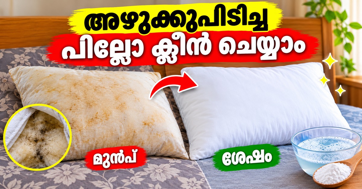 Pillow Cleaning Tips