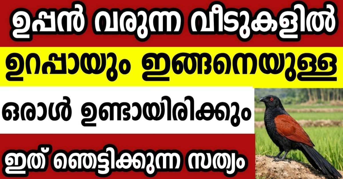 Uppan Bird Superstitions